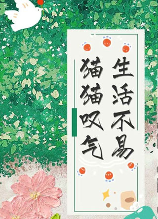 生活不易，猫猫叹气小说