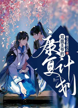 双面王爷的康复计划小说