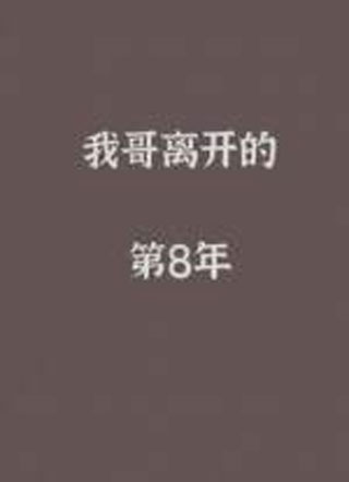 我哥离开的第八年小说