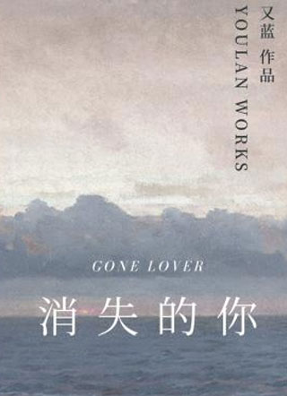 消失的你小说