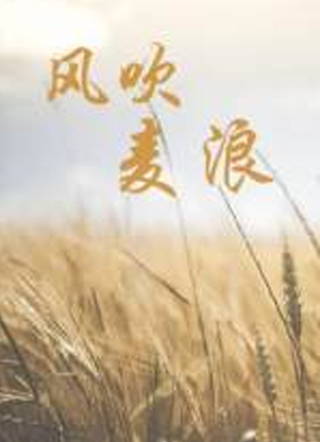 风吹麦浪小说