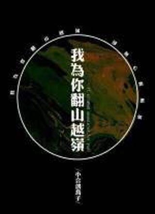 我为你翻山越岭小说