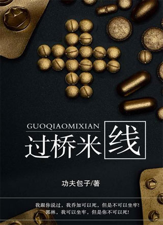 过桥米线乔加小说