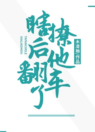 瞎撩后他翻车了小说