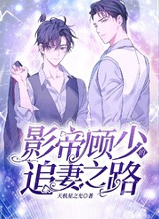 影帝顾少的追妻之路小说