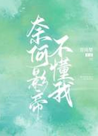 奈何影帝不懂我小说