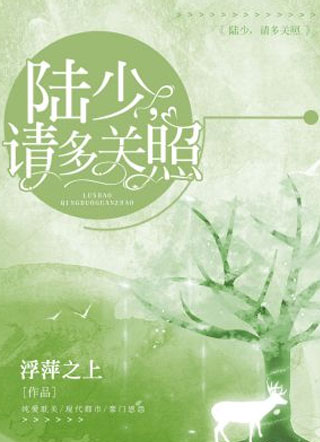 陆少，请多关照小说