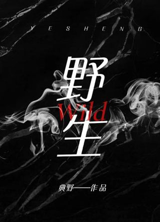 野生小说