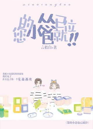 您的小怂包已就位小说