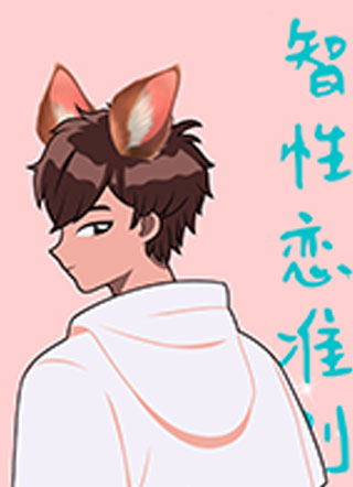 智性恋准则小说