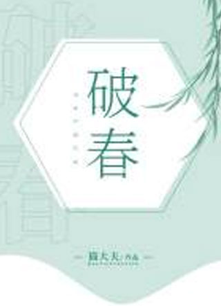 破春小说