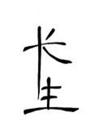 长生小说