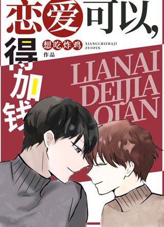 恋爱可以得加钱小说