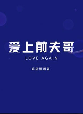 爱上前夫哥小说