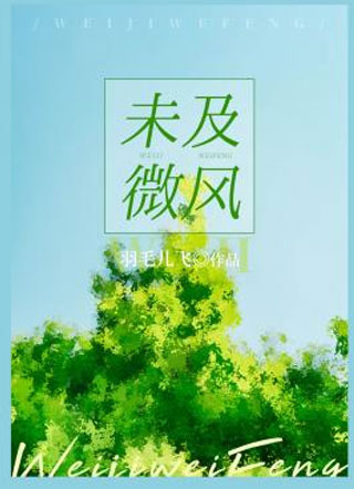 未及微风小说