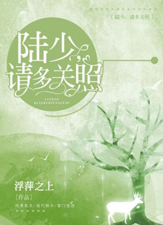 陆少，请多关照小说