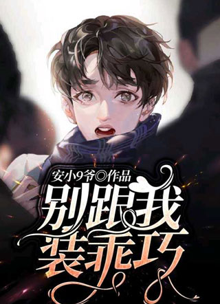 别跟我装乖巧小说