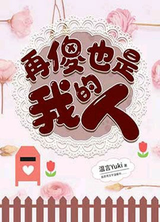 再傻也是我的人席宴小说