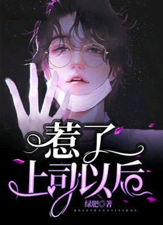 惹了上司以后小说