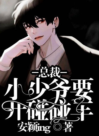 总裁，小少爷要开碰碰车小说