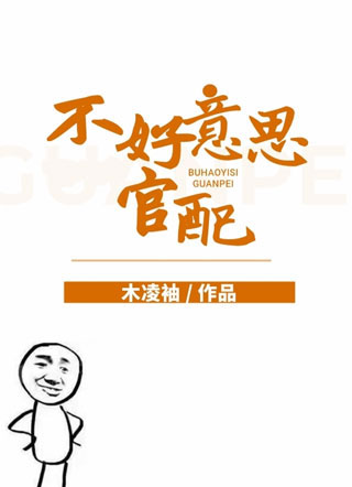 不好意思，官配小说