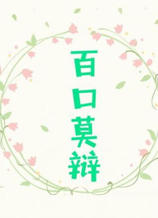 百口莫辩小说