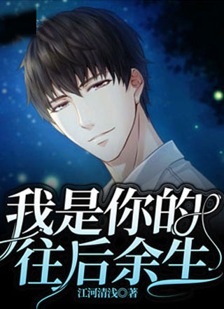 我是你的往后余生小说
