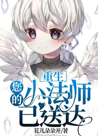 您的小法师已送达［重生］小说