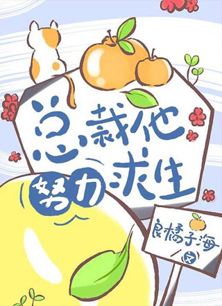 总裁他努力求生小说