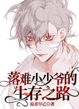 落难小少爷的生存之路小说