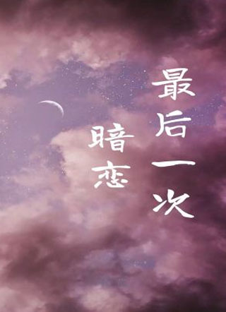 最后一次暗恋小说