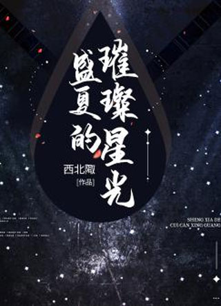 盛夏的璀璨星光小说