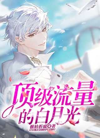 顶级流量的白月光小说