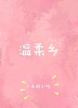 温柔乡小说