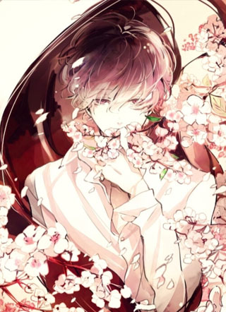 我与九个男神小说