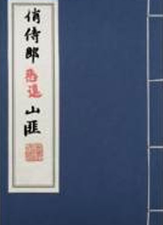 山匪团伙生存指南小说