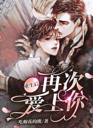 重生后再次爱上你小说