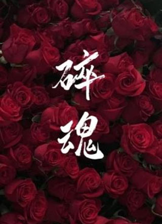 碎魂小说