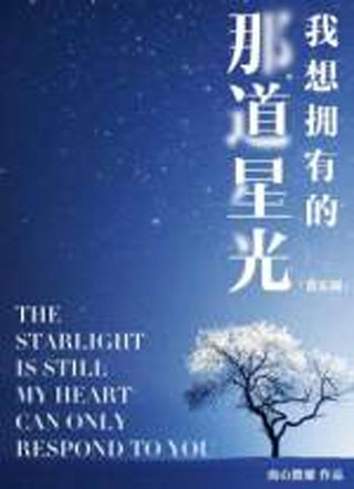 我想拥有的那道星光小说