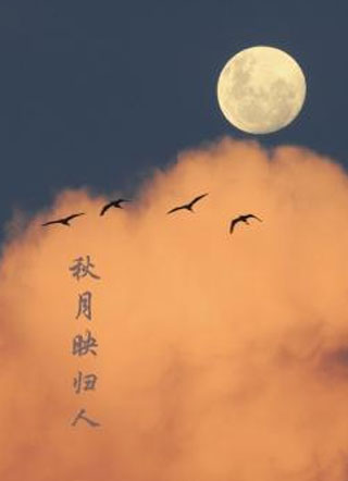 秋月映归人小说