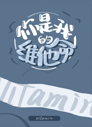 你是我的维他命小说