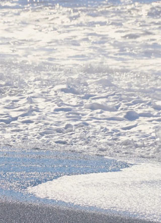 【重生】师兄带着系统逃了小说