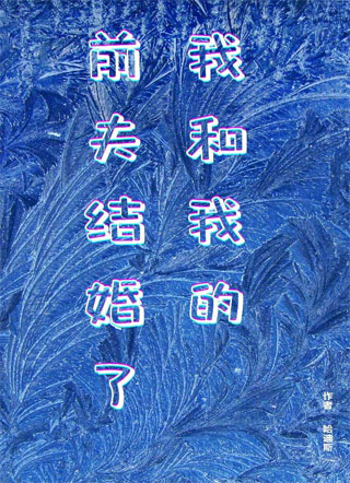 我和我的前夫结婚了小说