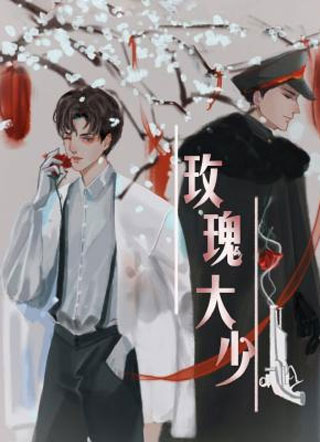 玫瑰大少赵万钧小说