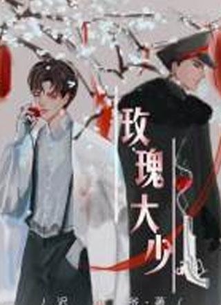 玫瑰大少小说