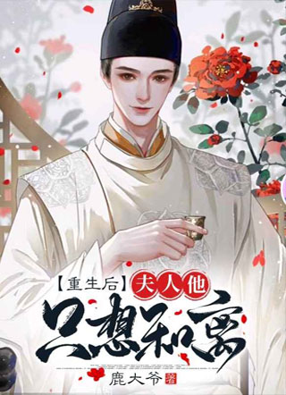 夫君，有话好说小说