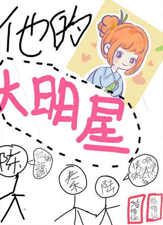 他的大明星小说