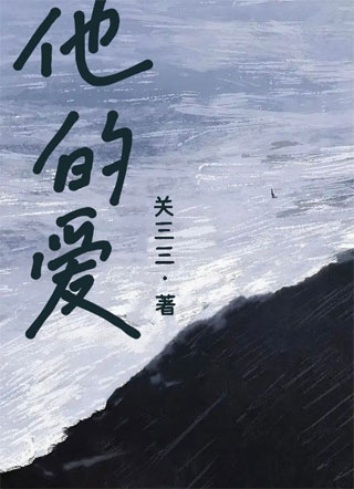 他的爱小说