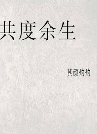 共度余生小说