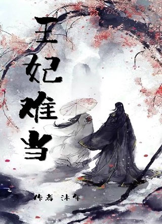 王妃难当小说